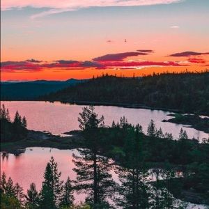 Meet your Posher, Hallie